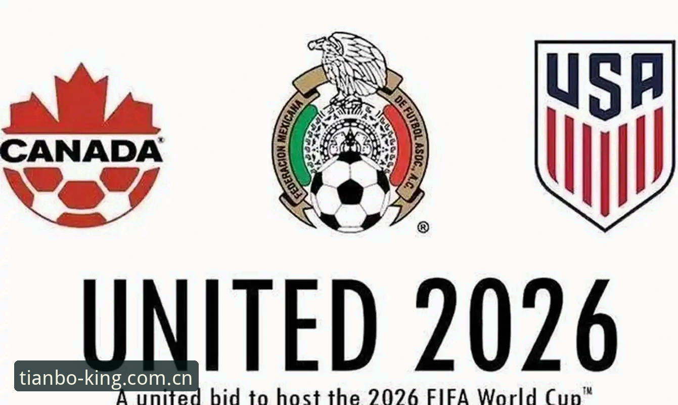 2026世界杯观赛体验评测：签证风波下，天博体育带你直击球场冷场真相