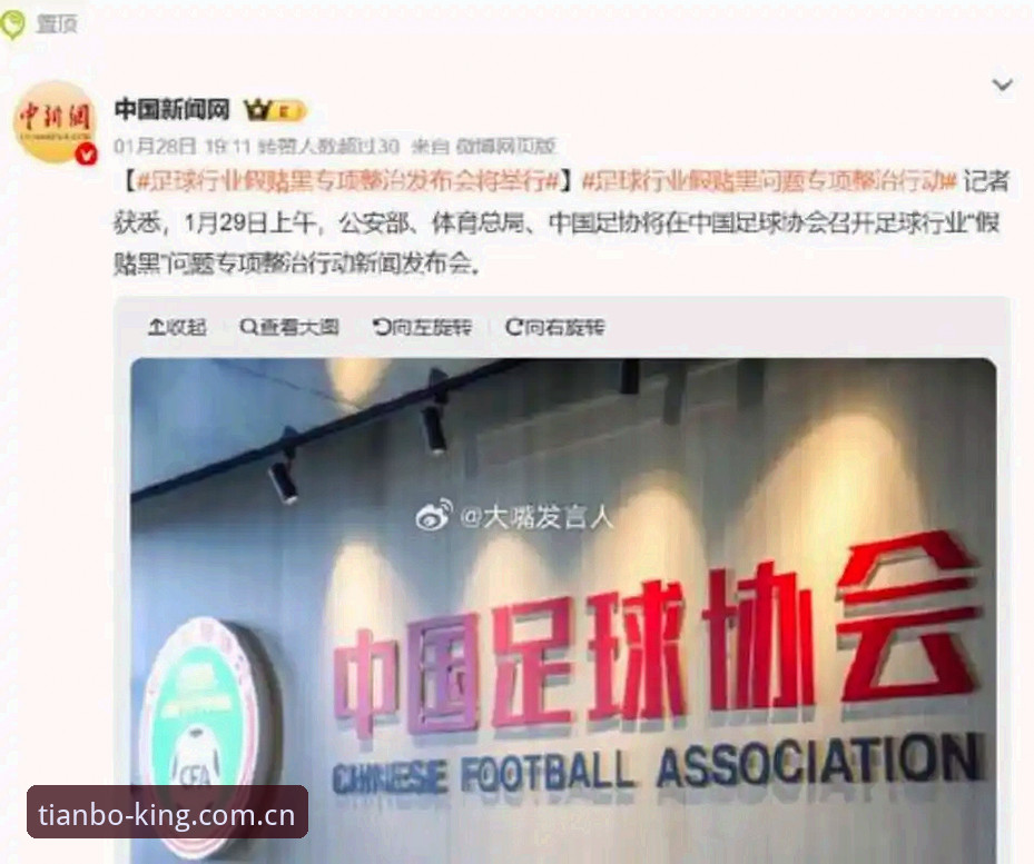 足协重磅罚单解读：从禁足名单看中国足球治理的实用知识